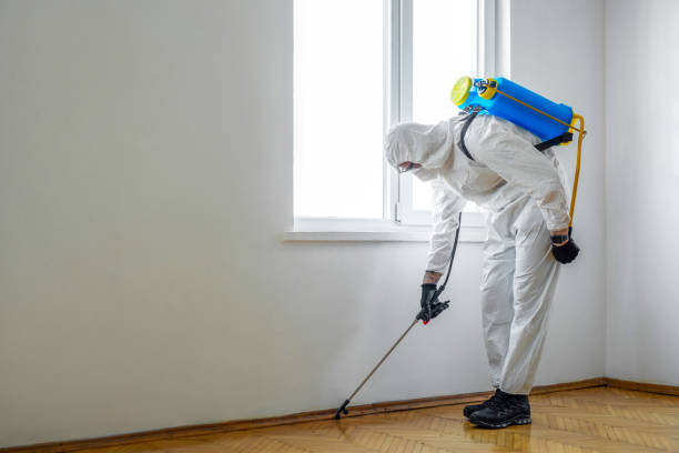 Best Flea Control Services  in Union Hall, VA