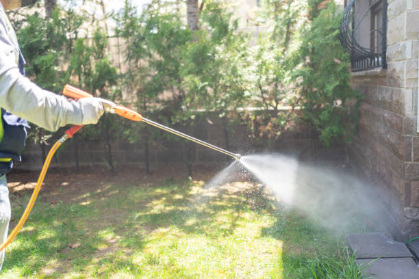 Best Best Pest Control Companies  in Union Hall, VA