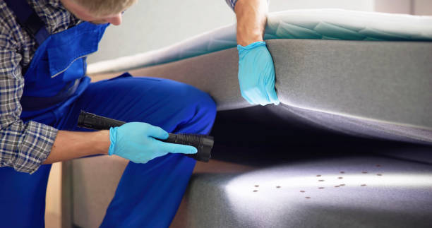 Best Emergency Pest Control  in Union Hall, VA