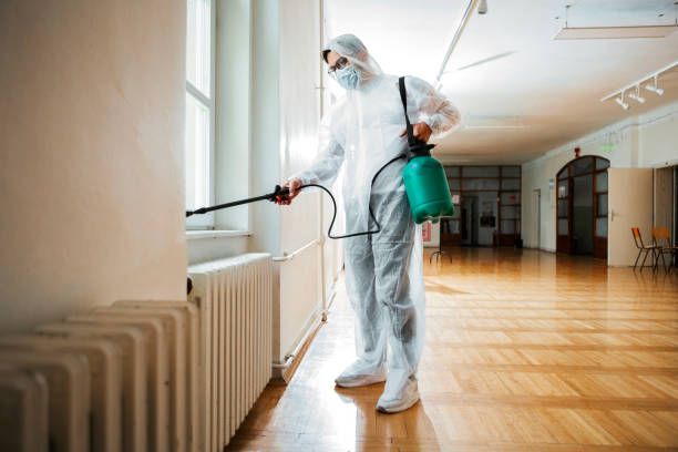 Reliable Union Hall, VA Pest Control Solutions