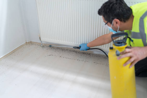 Best Pest Inspection Near Me  in Union Hall, VA