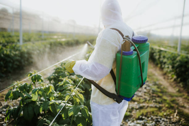 Best Pest Removal Services  in Union Hall, VA